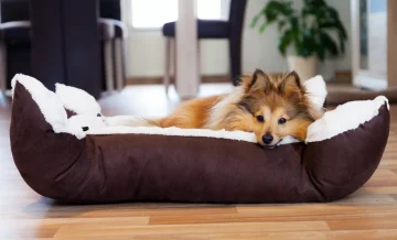 aquecimento para casa com pets